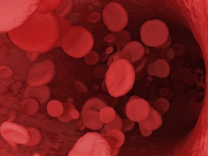 Digital Illustration of a Red Blood Cells Flowing Through Vein